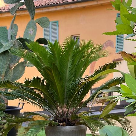 The Jasmine Terrace Retreat Apartment Bologna Exterior photo