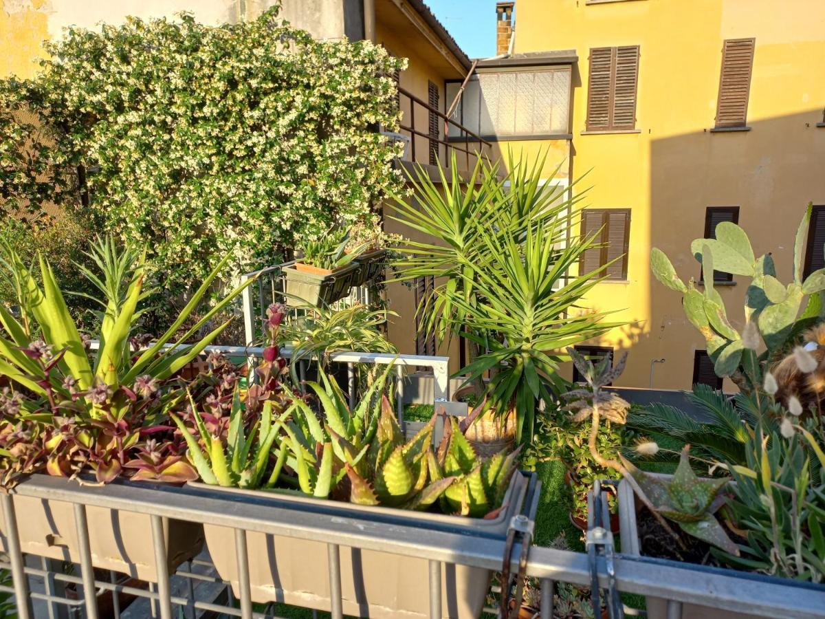 The Jasmine Terrace Retreat Apartment Bologna Exterior photo
